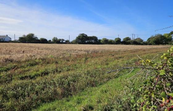 Land for sale in Helston photo