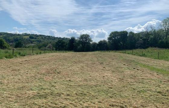 Land for sale in Pontwelly photo