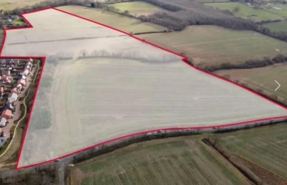 Land for sale in Halstead photo