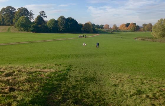 Plot on wall of Mote Park photo