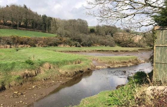 Land for sale in Torpoint photo