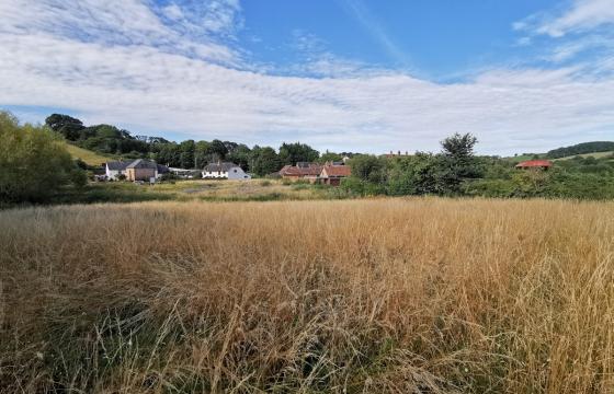 Ref 599 Land for sale in Watchet photo