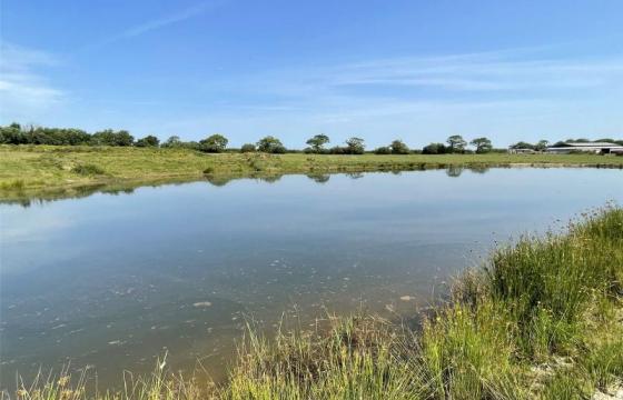 Land for sale in Holsworthy photo