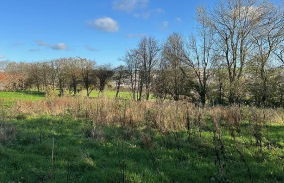 0.22 Acre Building Site in Barnstaple photo