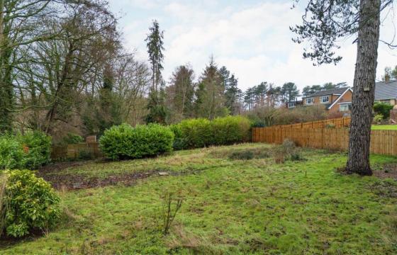 Land for sale in Morpeth photo
