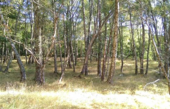 Under Offer, Land for sale in Aberlour, Moray photo
