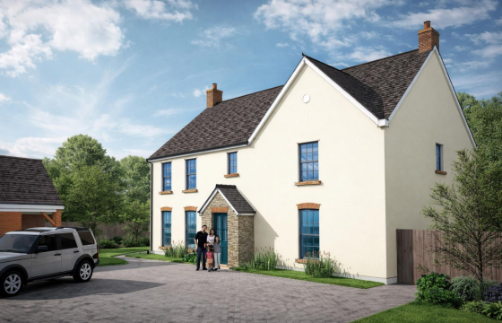 Land for sale in Llys Y Fran photo