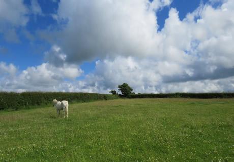 Land - No PP for sale in Hammerwood photo