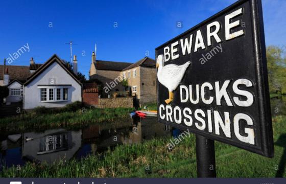 Land for sale in Peterborough photo