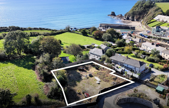 1081. Land for sale in Charlestown photo