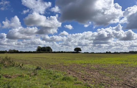 Land for sale in Attleborough photo