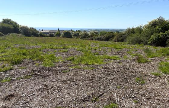 Land for sale in St Austell photo