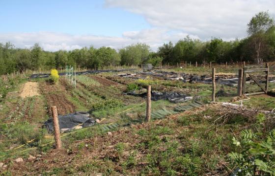 Land - No PP for sale in Bethlehem photo