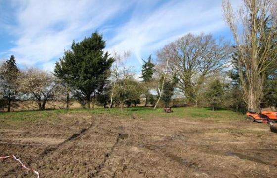 Land for sale in Diss photo