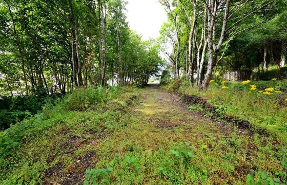 Land for sale in Benderloch photo