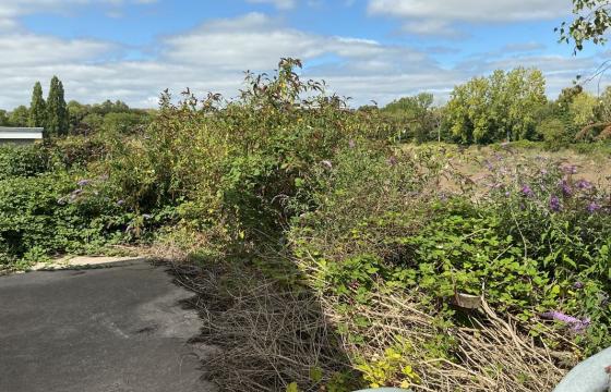 Residential Development Opportunity in Newport photo
