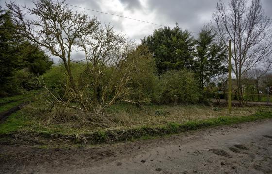 Land for sale in Ely photo