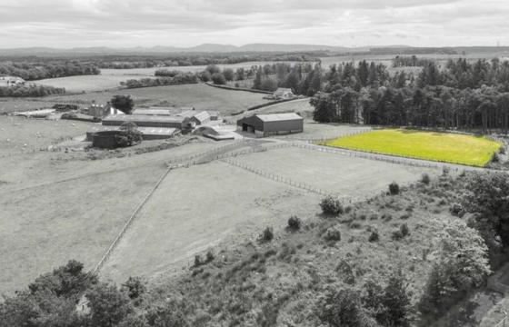 Land for sale in West Calder photo