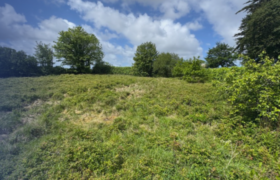 Land With Planning in Bodmin photo