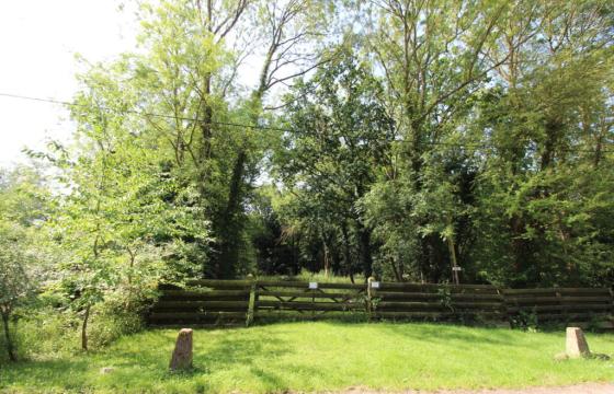 Development opportunity in Billericay photo