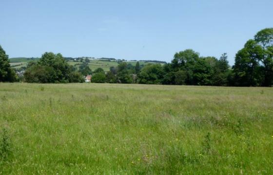 Development in Kington photo