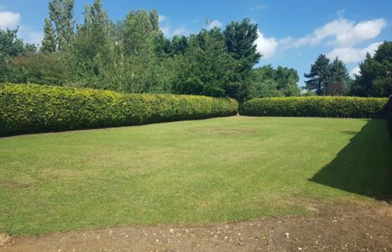 Land for sale in Stoke Ferry photo