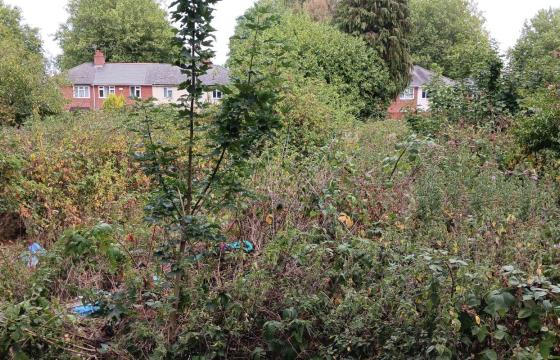 Land for sale in Billesley photo