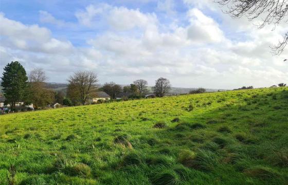 Land for sale in Devon. photo