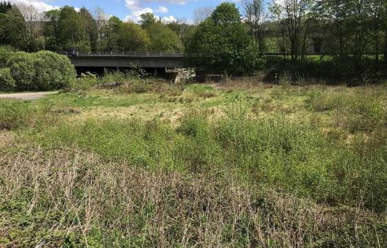 Land for sale in NELSON photo