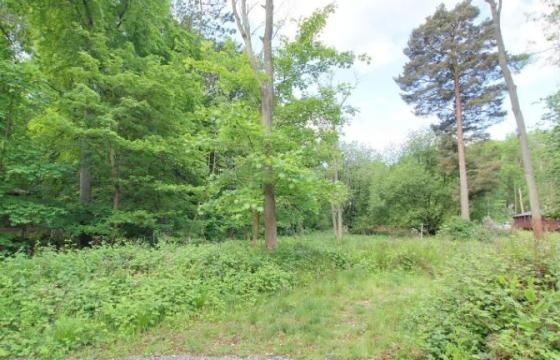 Land for sale in Louth photo