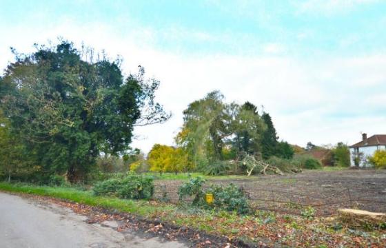 Land for sale in Willoughby photo