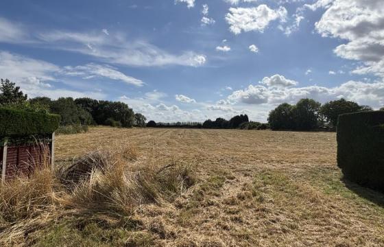 Land for sale in Gorefield photo