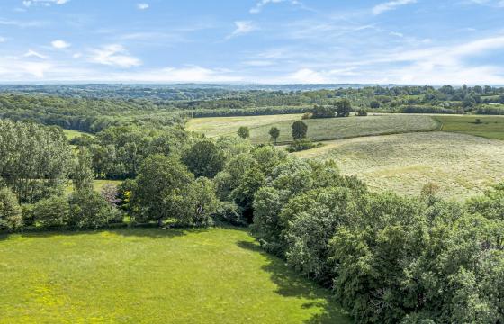 Land for sale in Benenden photo