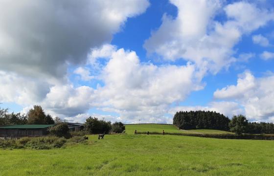Plot with PP for sale in Wigglesworth photo