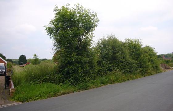 Land for sale Nr Selby photo