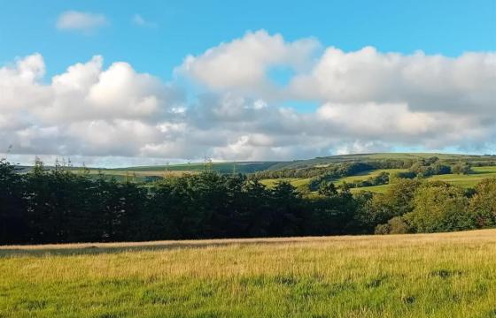 Land for sale in South Molton photo