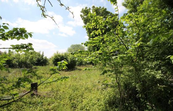 Land for sale in Haynes photo