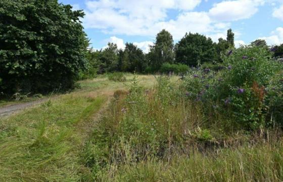 Plot for sale in Ellerton On Swale photo