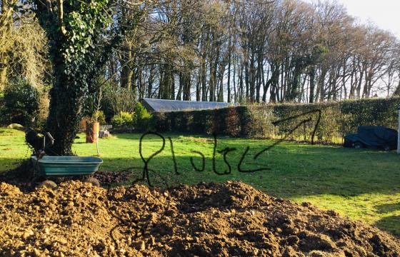 Plot with PP for sale in Heath End photo
