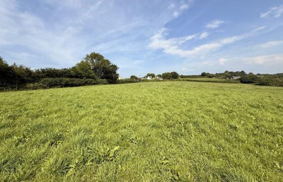 Land for sale in Liskeard photo
