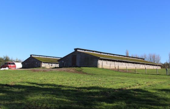 Land for sale in Boughton-Under-Blean photo