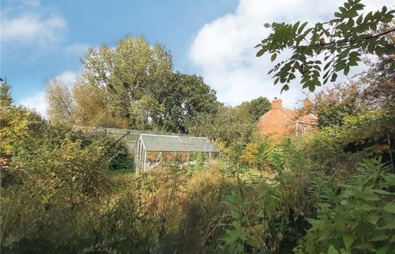 Land for sale in Langport photo
