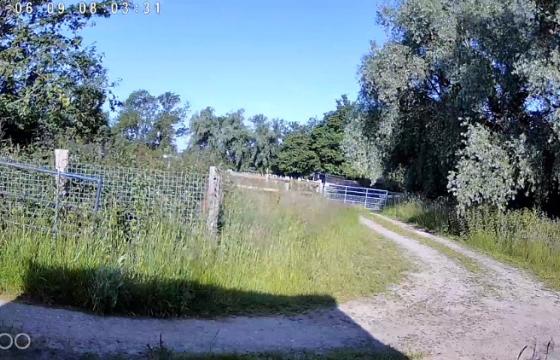Plot with PP for sale in Wickham St Paul photo