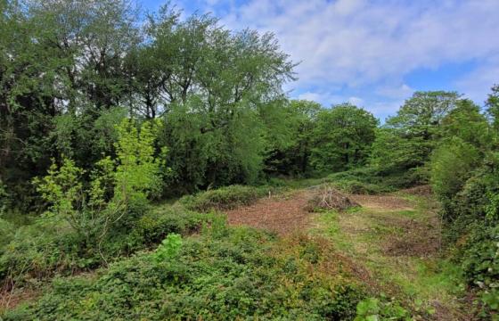 Land for sale in Hayle photo