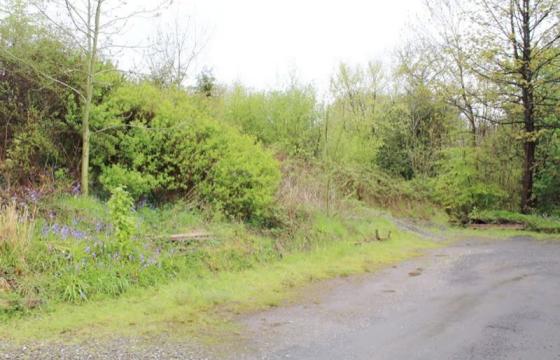 Plot with PP for sale in Duntocher photo