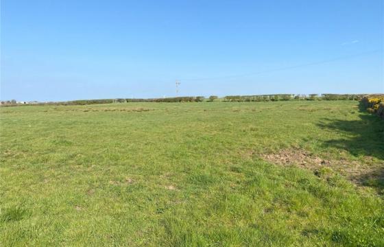 Land for sale in Holmrook photo