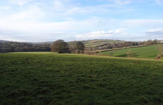Ref 5 Development for sale in North Molton photo