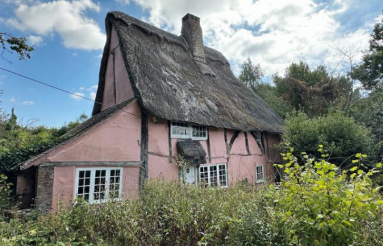 Detached Thatched Cottage In Need Of Repair in Rye photo