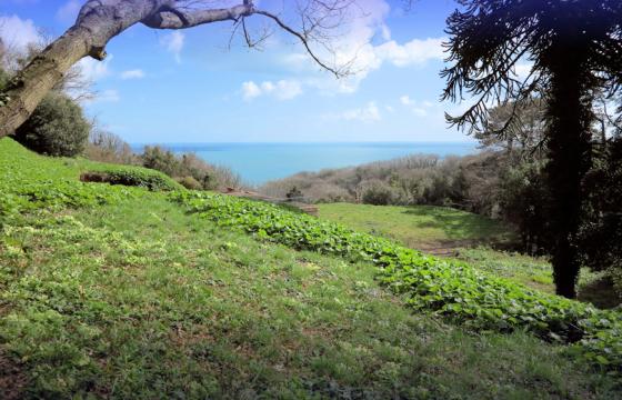 REF 622 Land for sale in Torquay photo
