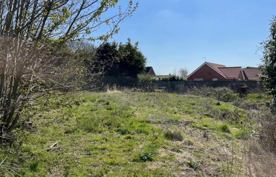 Land for sale in Swaffham photo